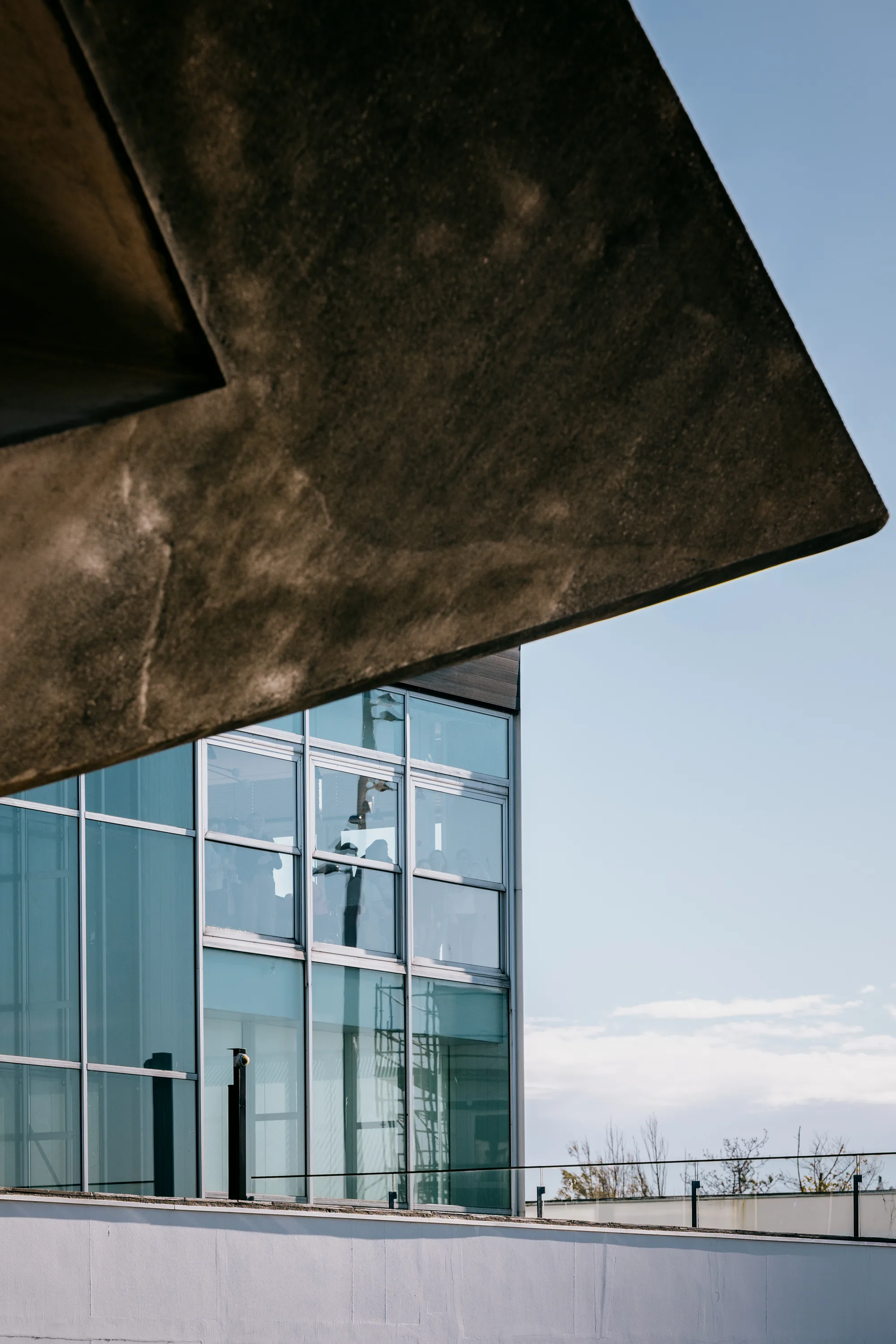 Les Fauves — Galerie instants